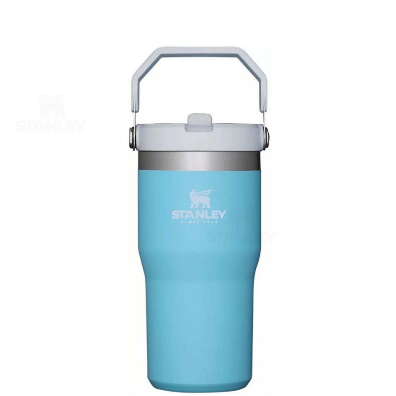 Stanley The IceFlow Flip Straw | 20 OZ Tumblers | USA_S1236