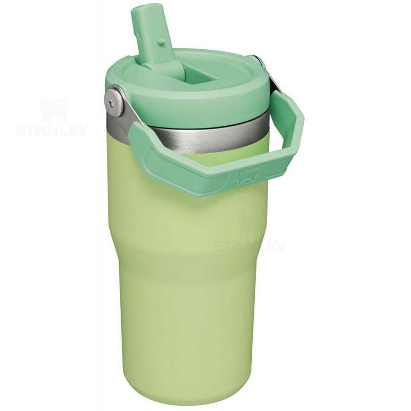 Stanley The IceFlow Flip Straw | 20 OZ Tumblers | USA_S2082