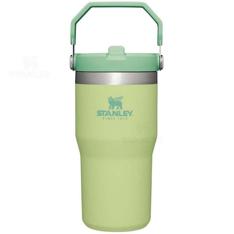 Stanley The IceFlow Flip Straw | 20 OZ Tumblers | USA_S1347