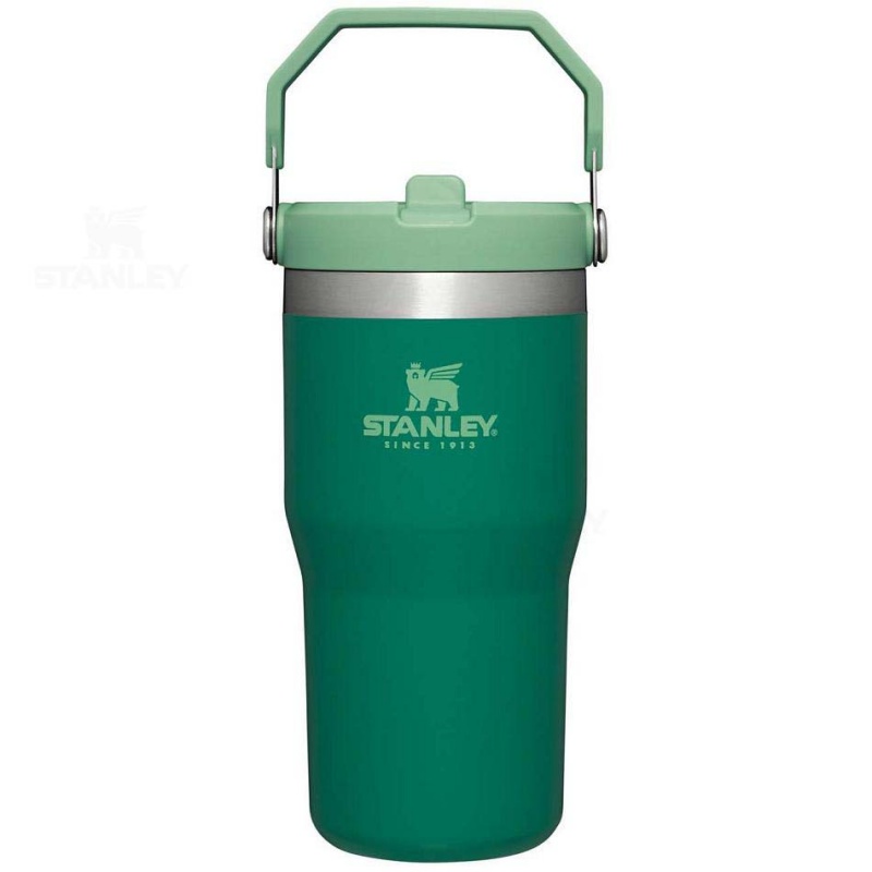 Stanley The IceFlow Flip Straw | 20 OZ Tumblers | USA_S1128