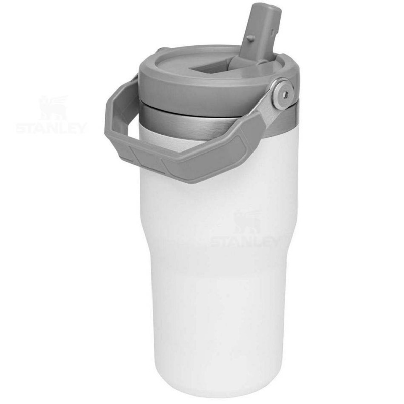 Stanley The IceFlow Flip Straw | 20 OZ Water Bottles | USA_S1336