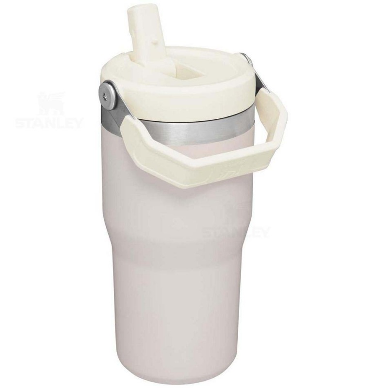 Stanley The IceFlow Flip Straw | 20 OZ Water Bottles | USA_S1761