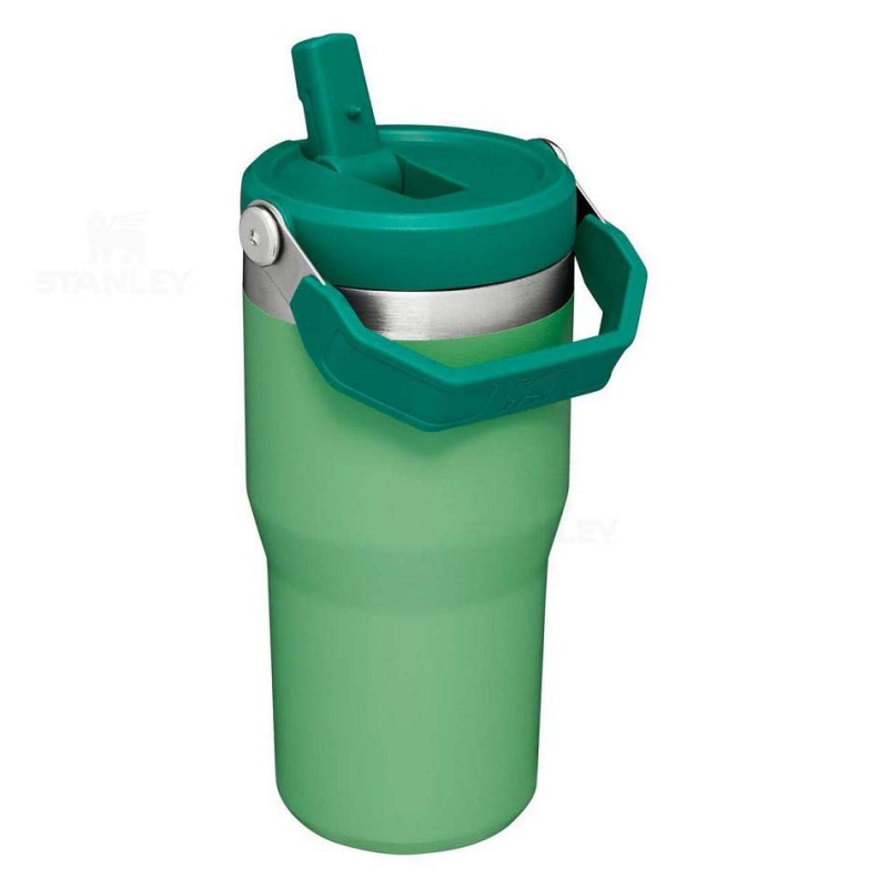 Stanley The IceFlow Flip Straw | 20 OZ Water Bottles | USA_S1127