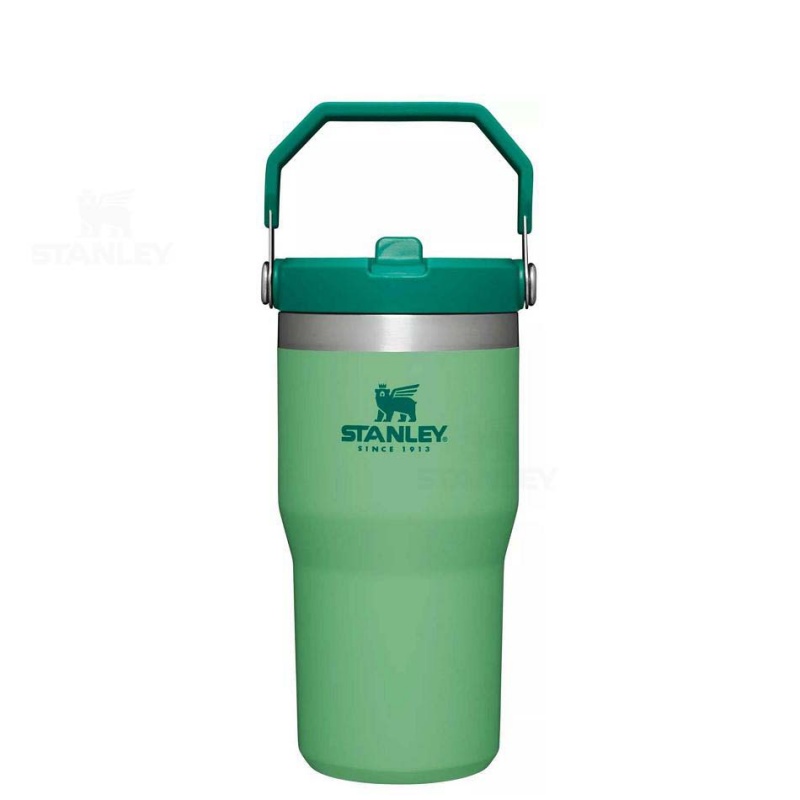 Stanley The IceFlow Flip Straw | 20 OZ Water Bottles | USA_S1127