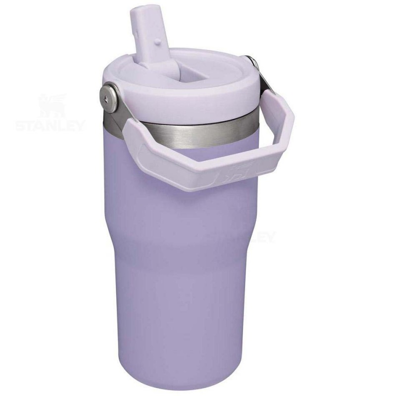 Stanley The IceFlow Flip Straw | 20 OZ Water Bottles | USA_S1719