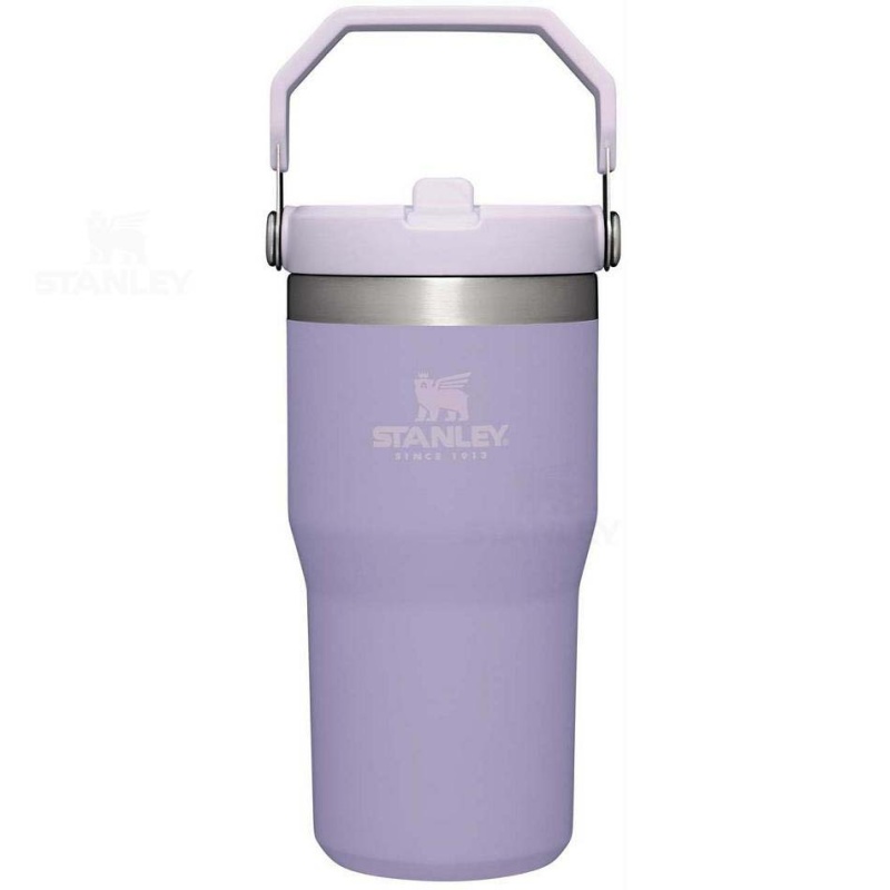 Stanley The IceFlow Flip Straw | 20 OZ Water Bottles | USA_S1719