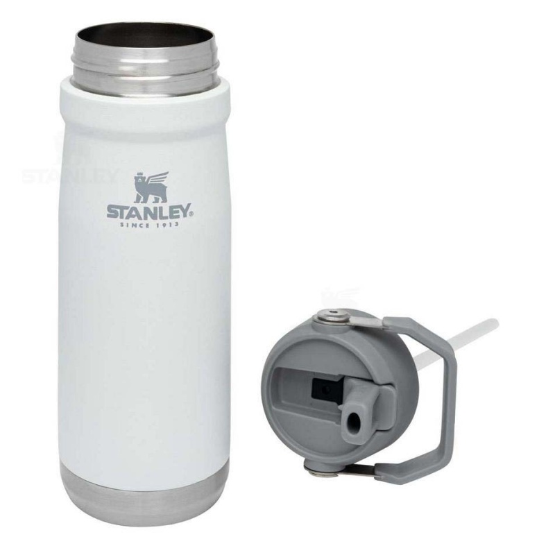 Stanley The IceFlow Flip Straw | 22 OZ Tumblers | USA_S1159