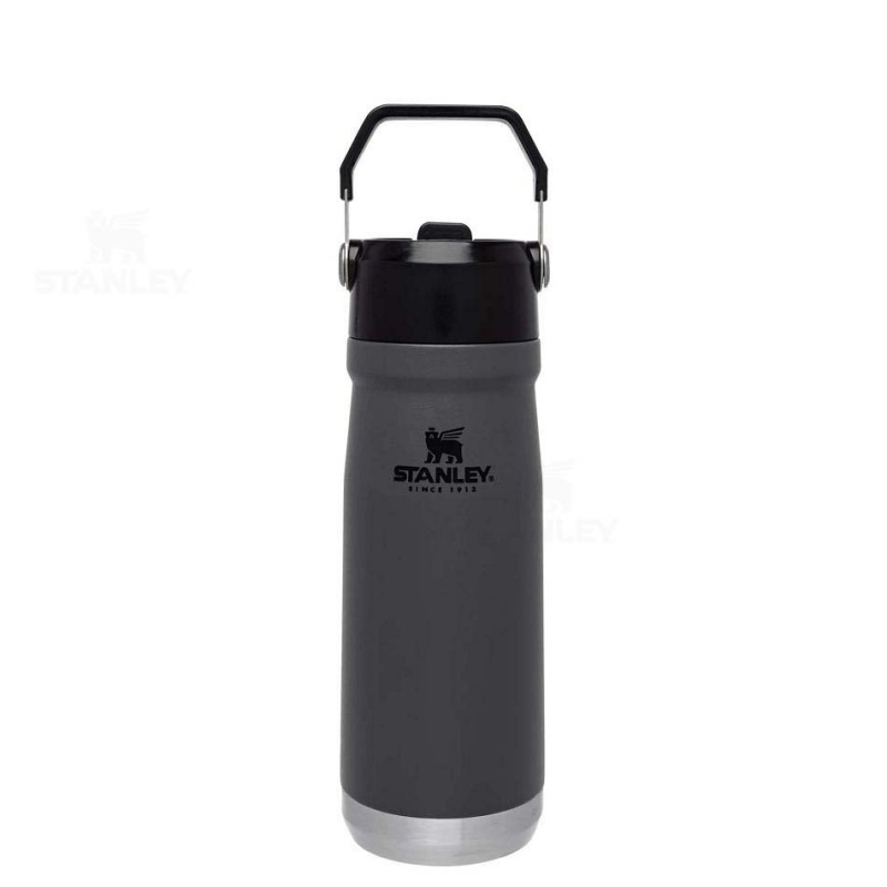 Stanley The IceFlow Flip Straw | 22 OZ Water Bottles | USA_S1415