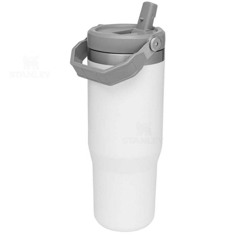 Stanley The IceFlow Flip Straw | 30 OZ Tumblers | USA_S1775