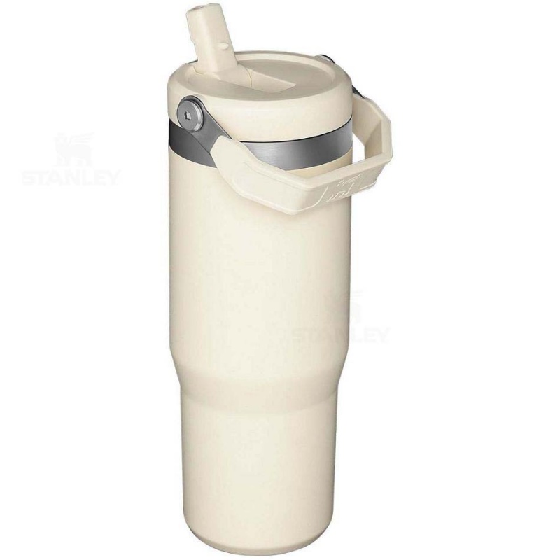 Stanley The IceFlow Flip Straw | 30 OZ Tumblers | USA_S2068