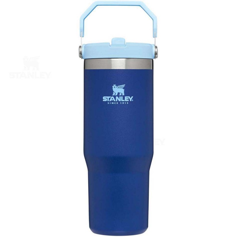 Stanley The IceFlow Flip Straw | 30 OZ Tumblers | USA_S1070