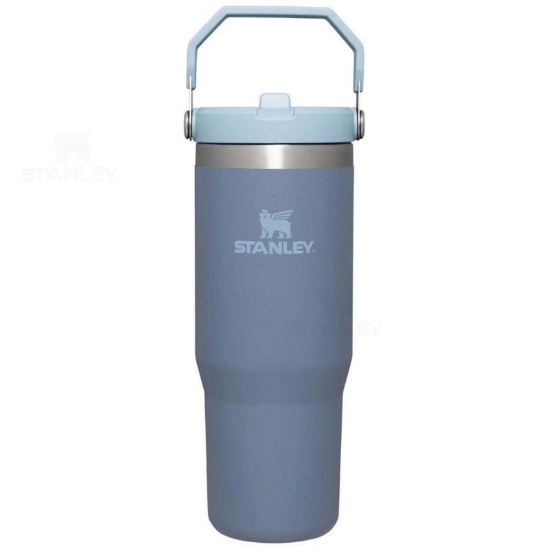 Stanley The IceFlow Flip Straw | 30 OZ Tumblers | USA_S1447