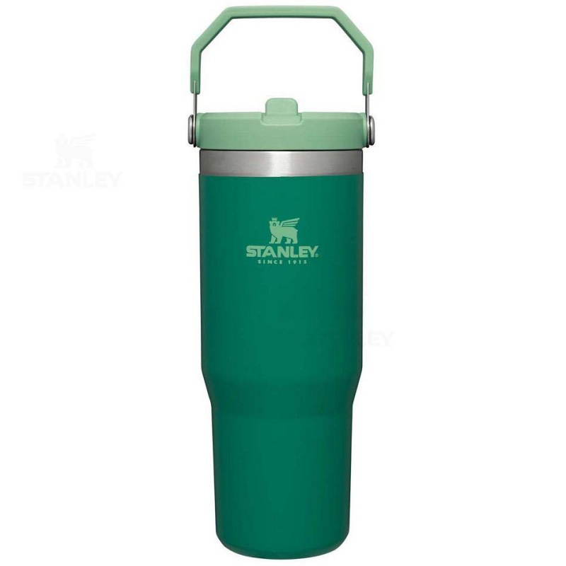 Stanley The IceFlow Flip Straw | 30 OZ Tumblers | USA_S1587