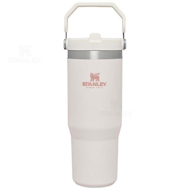 Stanley The IceFlow Flip Straw | 30 OZ Tumblers | USA_S1824