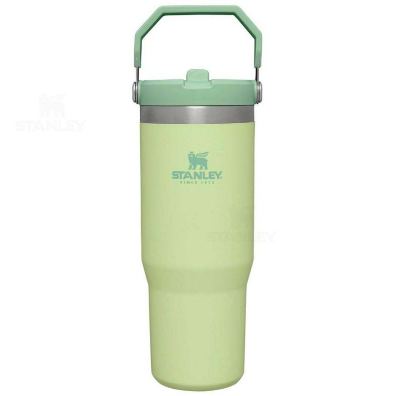 Stanley The IceFlow Flip Straw | 30 OZ Tumblers | USA_S1355