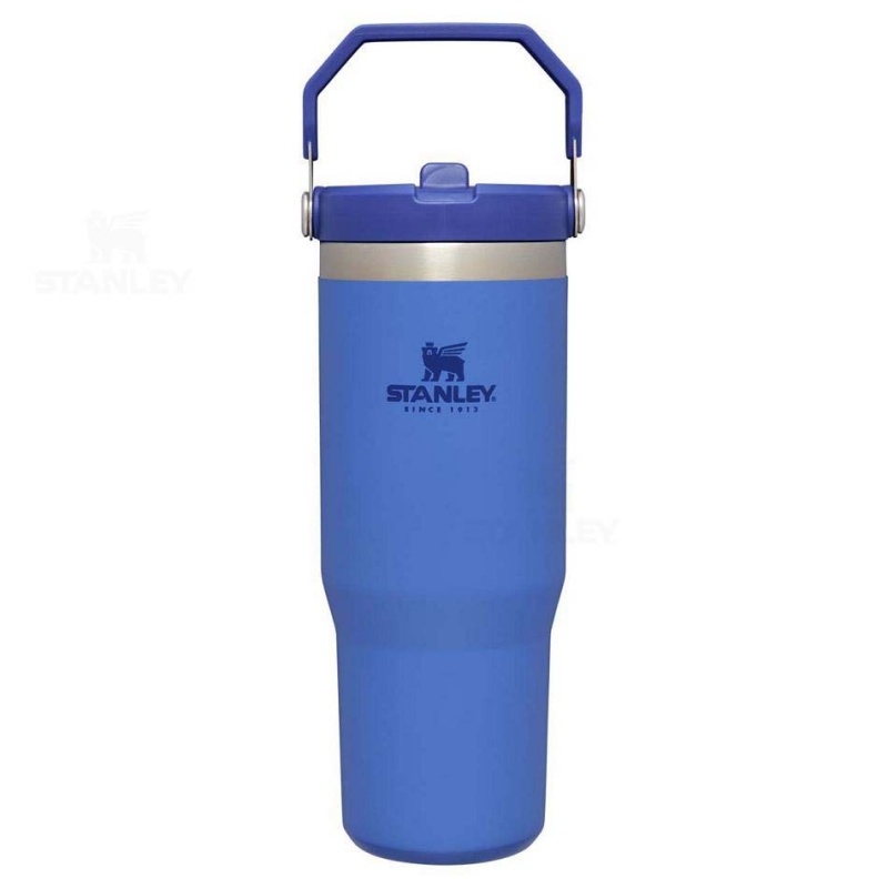 Stanley The IceFlow Flip Straw | 30 OZ Tumblers | USA_S2109