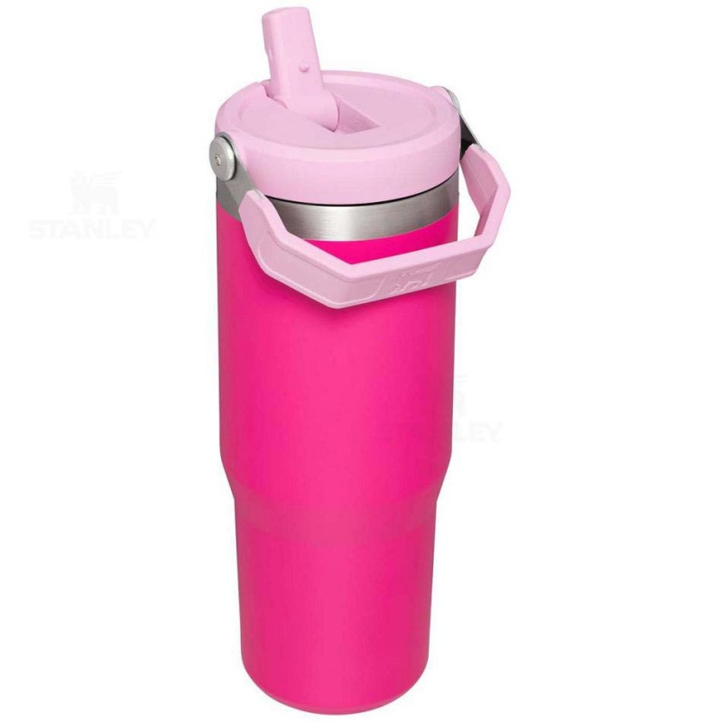 Stanley The IceFlow Flip Straw | 30 OZ Water Bottles | USA_S1286