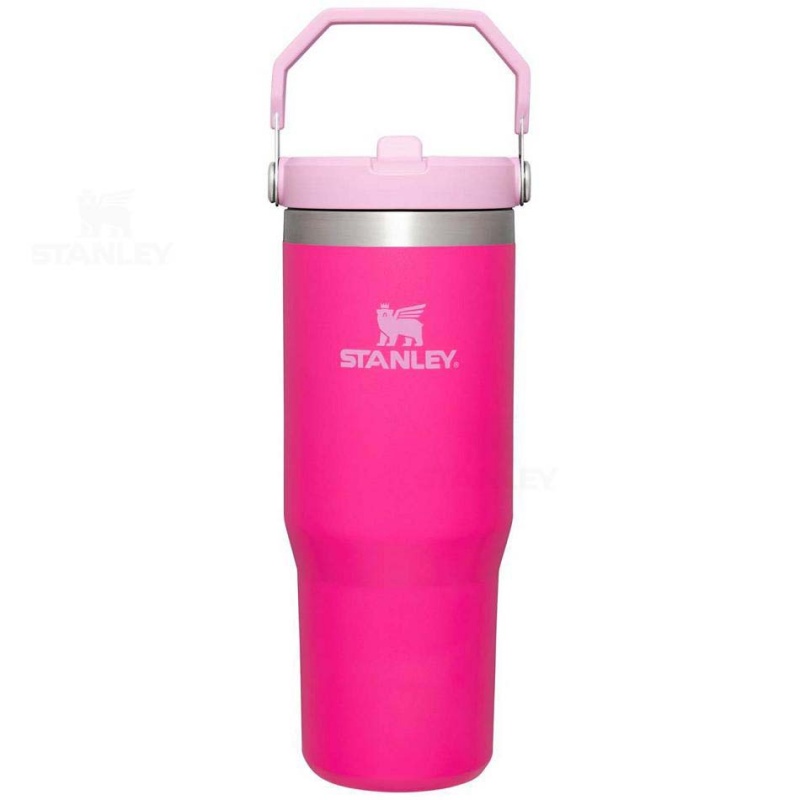 Stanley The IceFlow Flip Straw | 30 OZ Water Bottles | USA_S1286