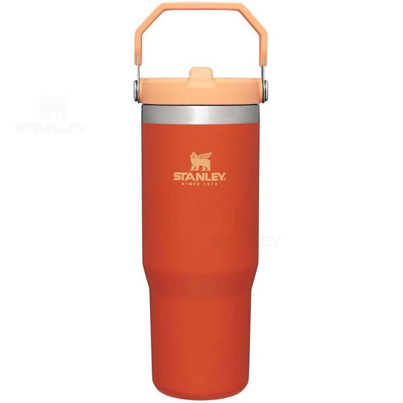 Stanley The IceFlow Flip Straw | 30 OZ Water Bottles | USA_S1423