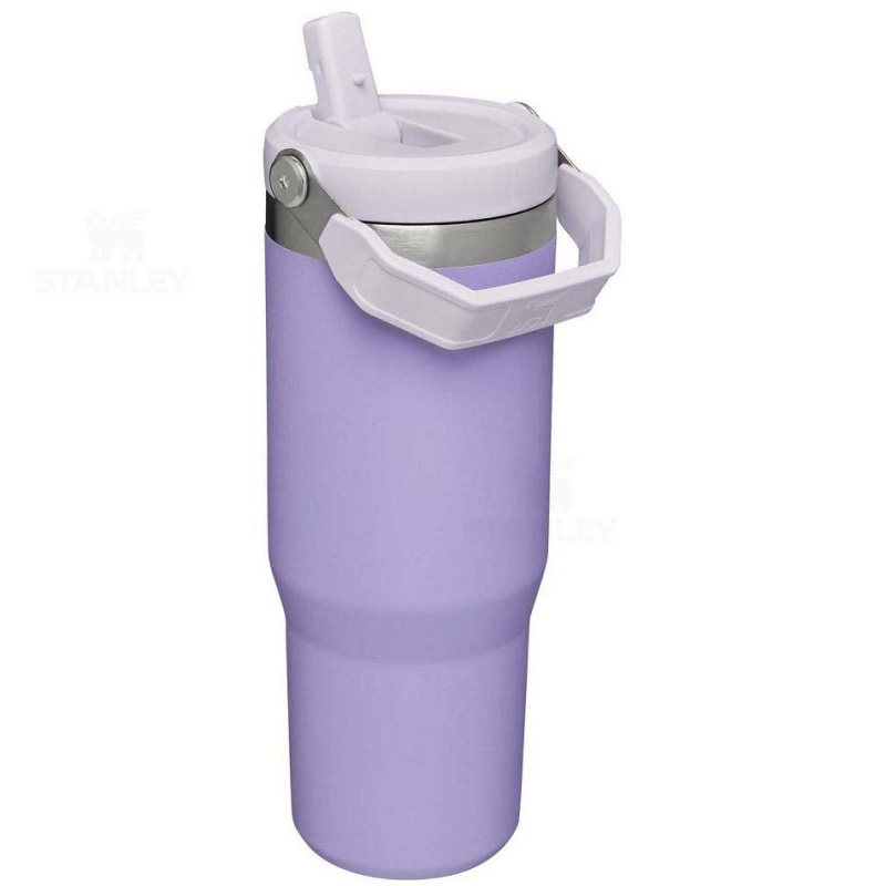 Stanley The IceFlow Flip Straw | 30 OZ Water Bottles | USA_S2233