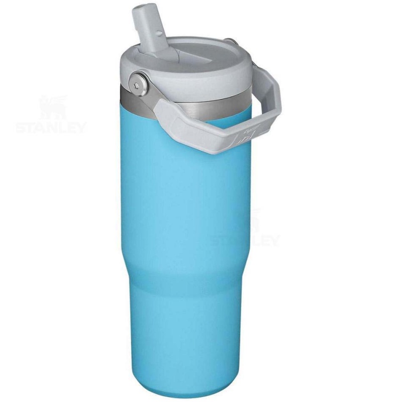 Stanley The IceFlow Flip Straw | 30 OZ Water Bottles | USA_S1578