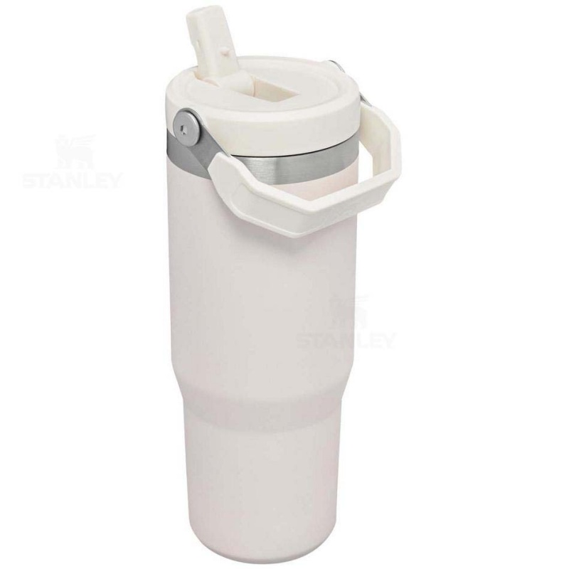 Stanley The IceFlow Flip Straw | 30 OZ Water Bottles | USA_S1730