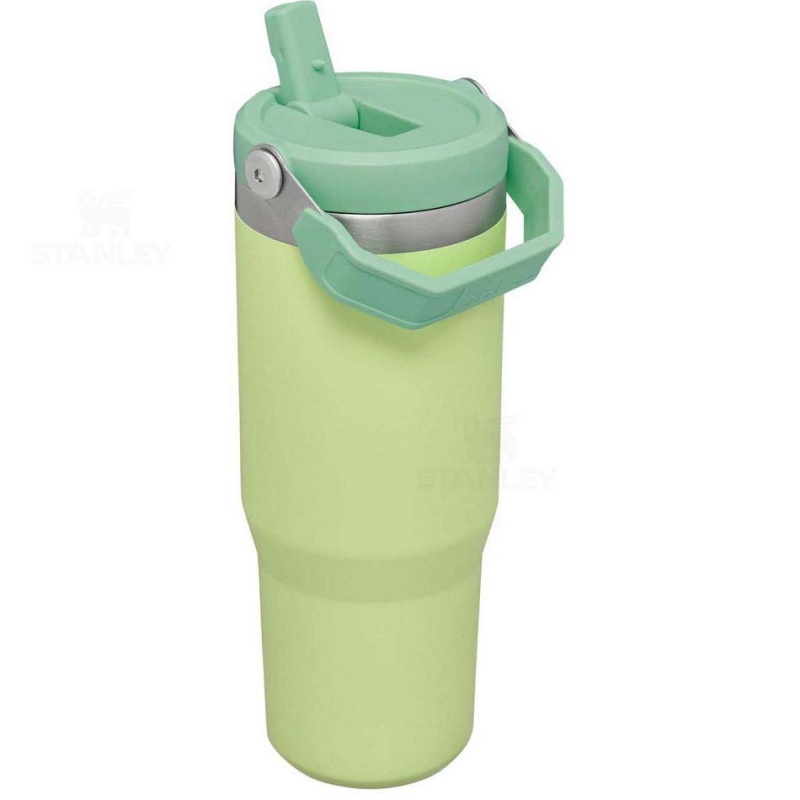 Stanley The IceFlow Flip Straw | 30 OZ Water Bottles | USA_S1073