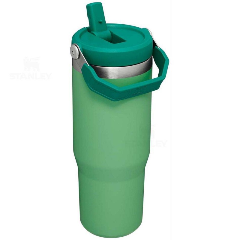 Stanley The IceFlow Flip Straw | 30 OZ Water Bottles | USA_S1883