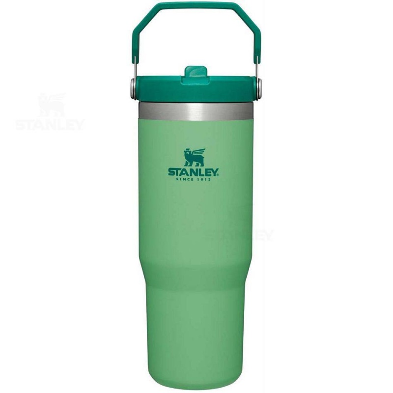 Stanley The IceFlow Flip Straw | 30 OZ Water Bottles | USA_S1883