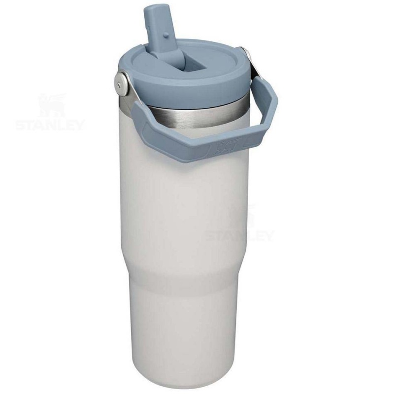 Stanley The IceFlow Flip Straw | 30 OZ Water Bottles | USA_S1113