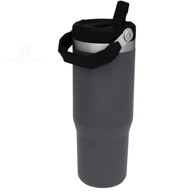 Stanley The IceFlow Flip Straw | 30 OZ Water Bottles | USA_S1500