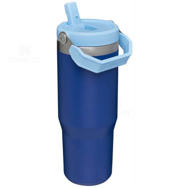 Stanley The IceFlow Flip Straw | 30 OZ Water Bottles | USA_S1895