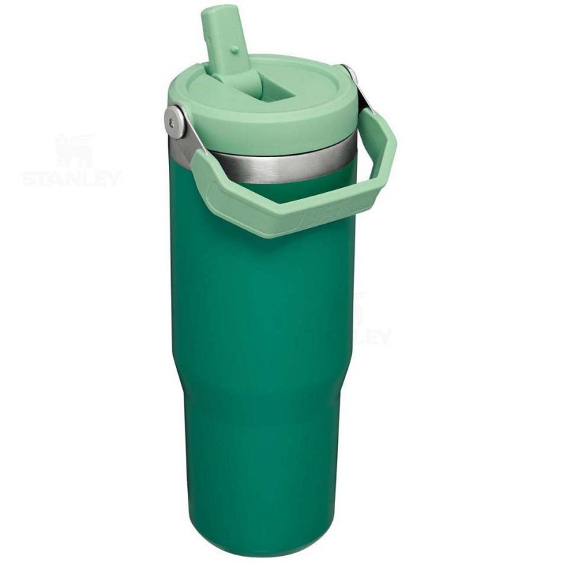 Stanley The IceFlow Flip Straw | 30 OZ Water Bottles | USA_S1499