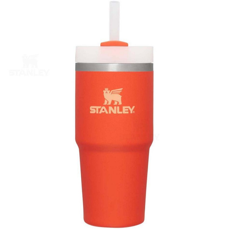 Stanley The Quencher H2.0 FlowState™ 14 OZ | USA_S1906