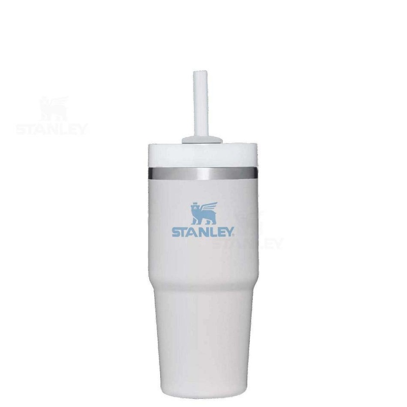 Stanley The Quencher H2.0 FlowState™ 14 OZ | USA_S2013