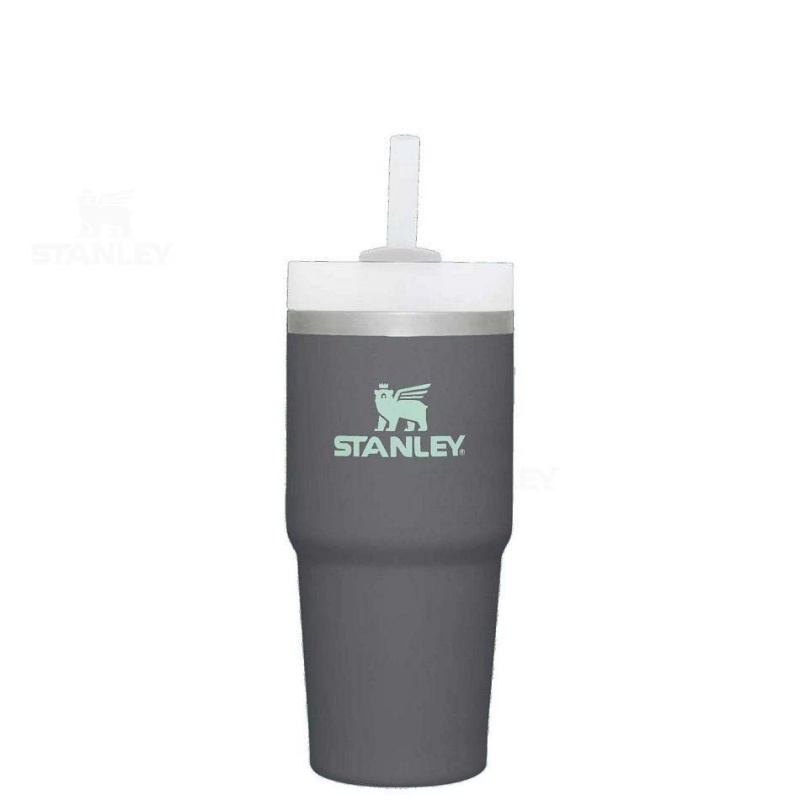 Stanley The Quencher H2.0 FlowState™ 14 OZ | USA_S1116