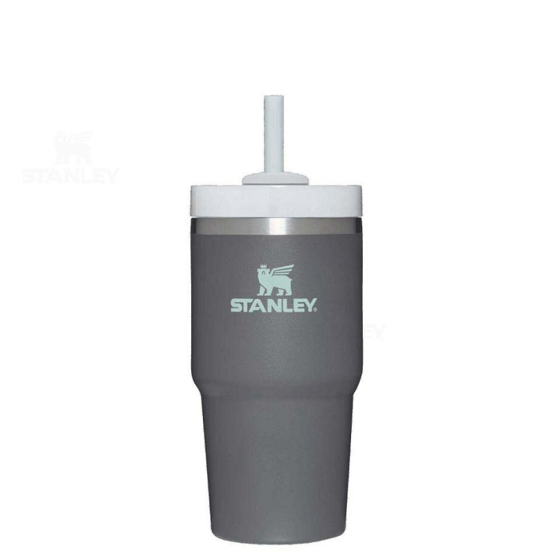 Stanley The Quencher H2.0 FlowState™ 20 OZ | USA_S1089