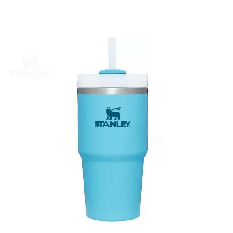 Stanley The Quencher H2.0 FlowState™ 20 OZ | USA_S1816