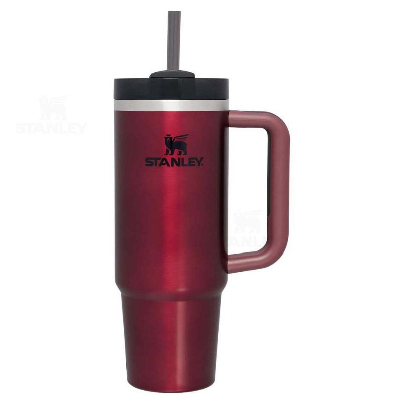 Stanley The Quencher H2.0 FlowState™ 30 OZ | USA_S1027