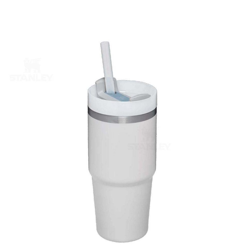 Stanley The Quencher H2.0 FlowState™ | 14 OZ Tumblers | USA_S1366