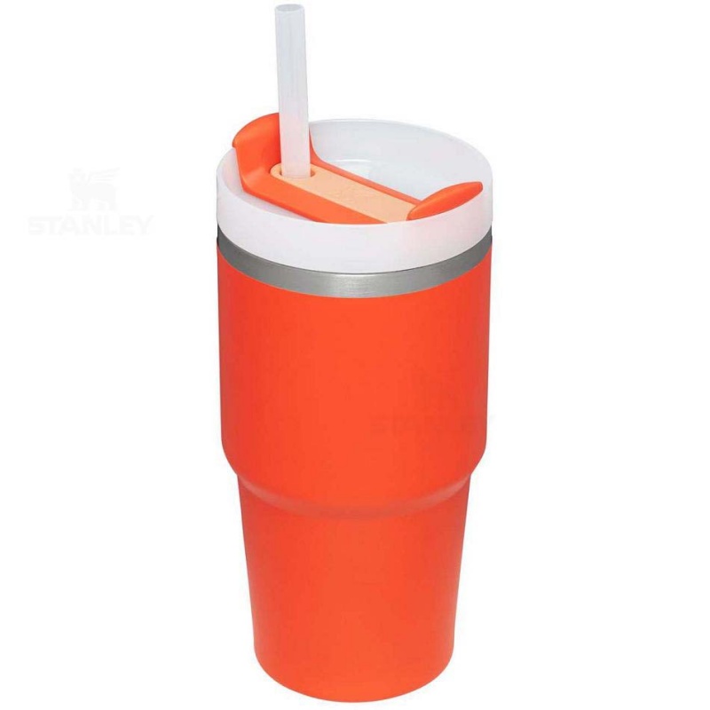 Stanley The Quencher H2.0 FlowState™ | 20 OZ Tumblers | USA_S2385