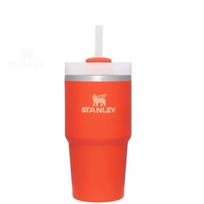 Stanley The Quencher H2.0 FlowState™ | 20 OZ Tumblers | USA_S2385