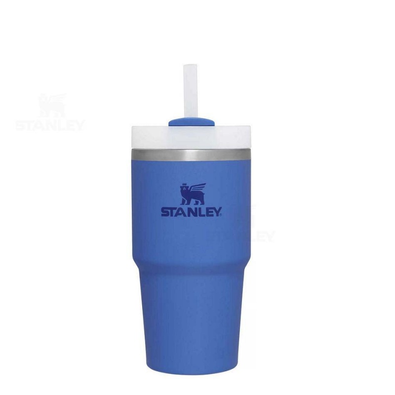 Stanley The Quencher H2.0 FlowState™ | 20 OZ Tumblers | USA_S1357