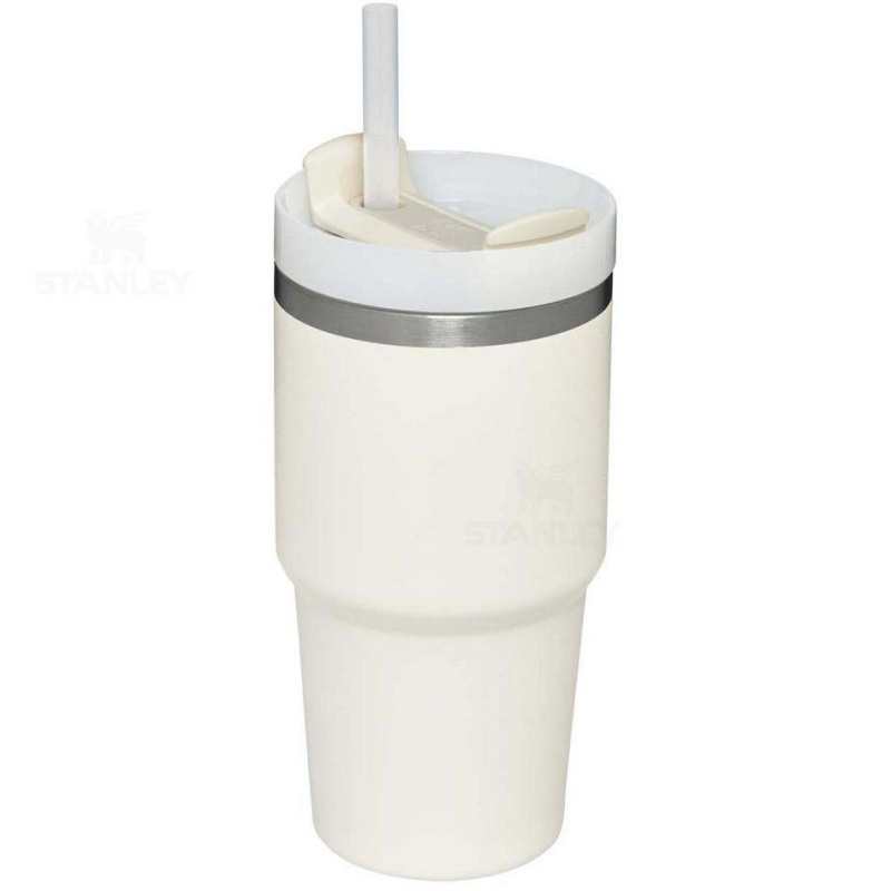 Stanley The Quencher H2.0 FlowState™ | 20 OZ Tumblers | USA_S1637