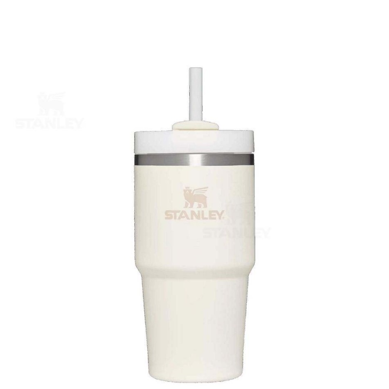 Stanley The Quencher H2.0 FlowState™ | 20 OZ Tumblers | USA_S1637