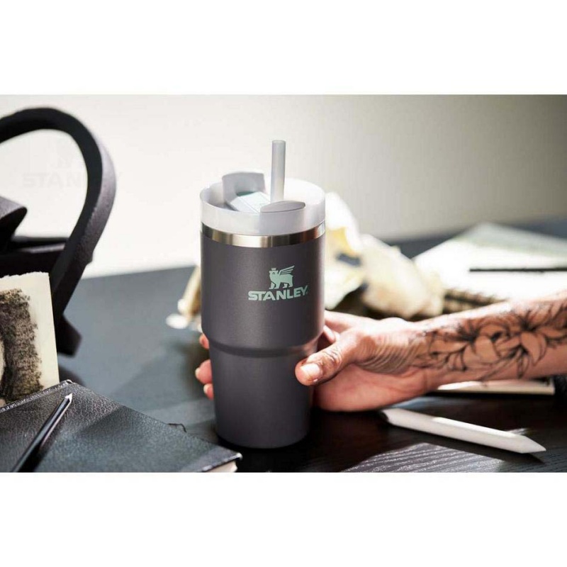 Stanley The Quencher H2.0 FlowState™ | 20 OZ Tumblers | USA_S2111