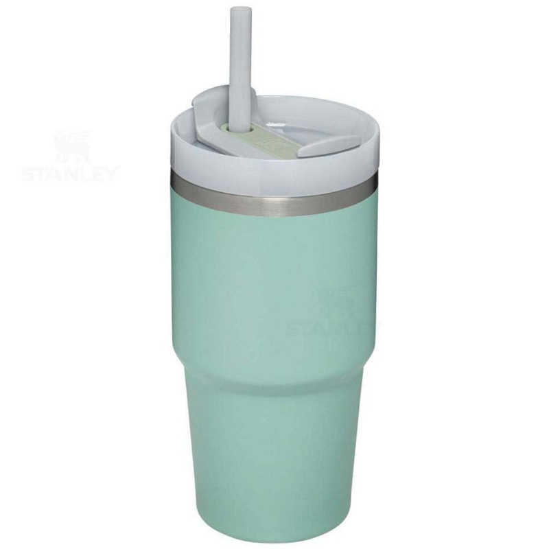 Stanley The Quencher H2.0 FlowState™ | 20 OZ Tumblers | USA_S2387