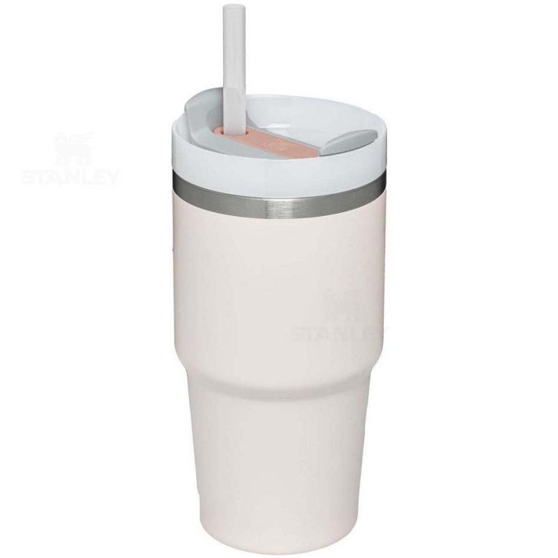 Stanley The Quencher H2.0 FlowState™ | 20 OZ Tumblers | USA_S1507