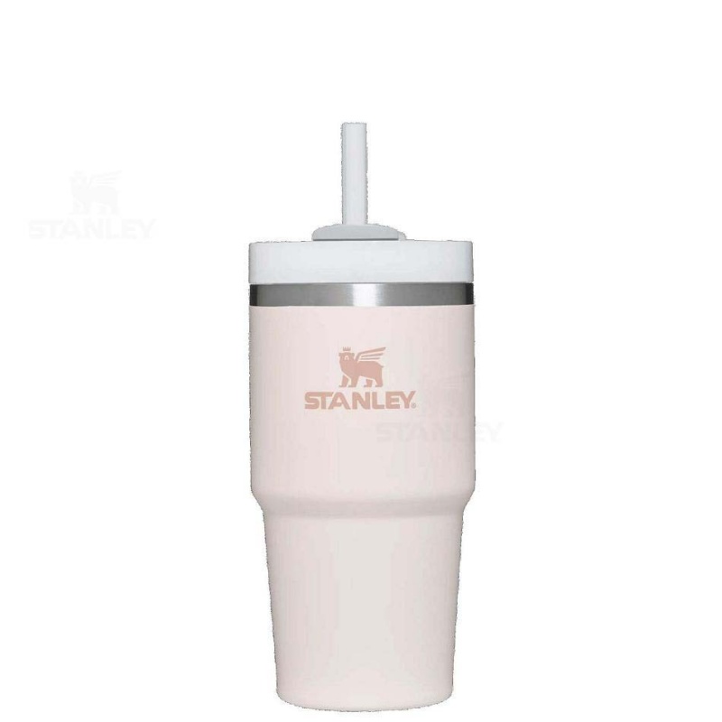 Stanley The Quencher H2.0 FlowState™ | 20 OZ Tumblers | USA_S1507