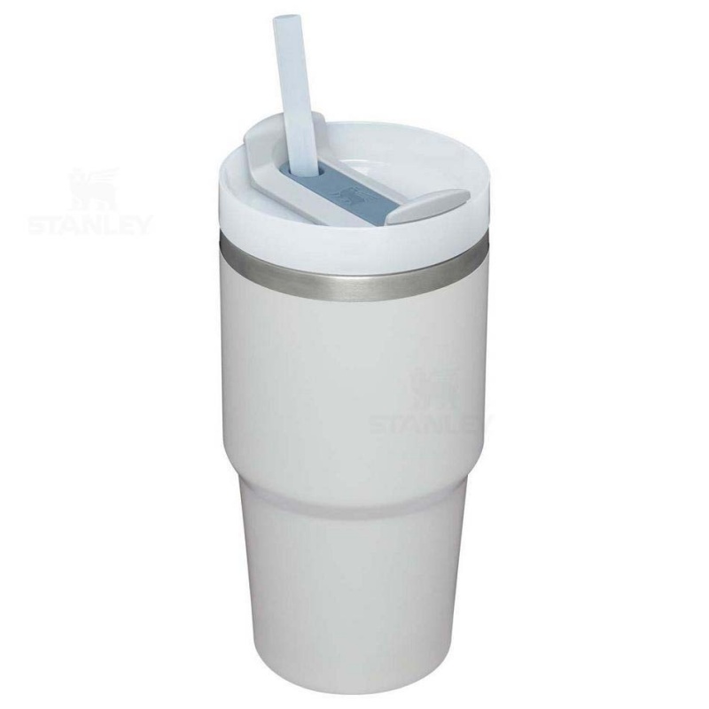 Stanley The Quencher H2.0 FlowState™ | 20 OZ Tumblers | USA_S1662